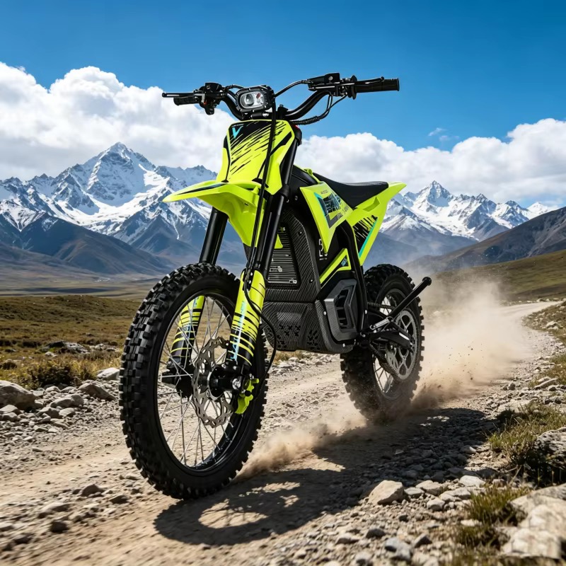 PRO E-BIKE en tout-terrain dans la poussière