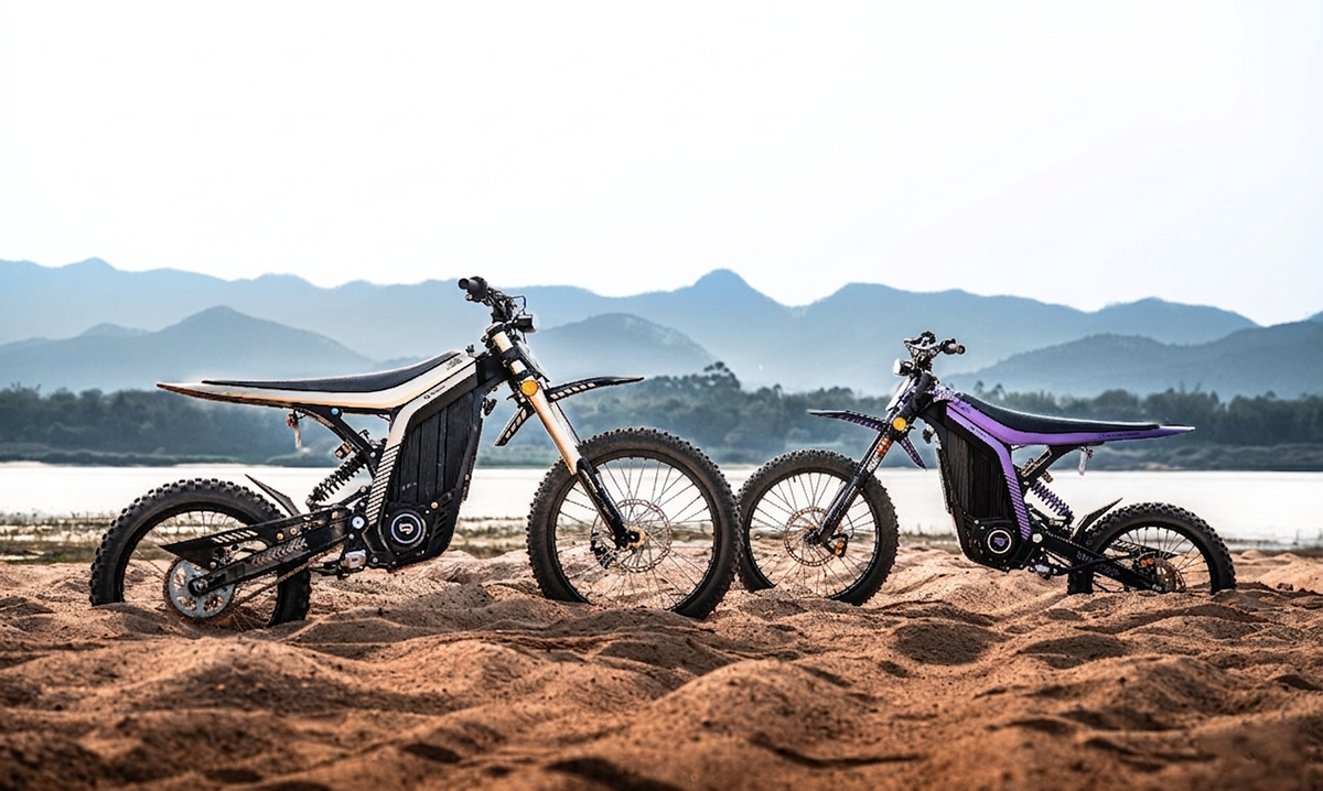 Deux Lynx 2026, noire et violette, sur le sable au bord d'un lac